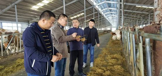 2cde393f6e3dd5bda86e98049ed8038